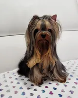 processed/b73ab2ff-11d8-4dac-934e-a87cad80fc02/facility/ffa14ef5-3640-4b59-af32-ff06dad60216