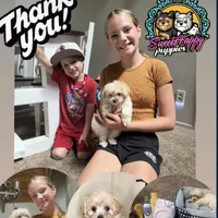 processed/b73c3ebf-50fd-4d1f-aa00-9b406687f0e4/facility/bab893f3-8869-416d-aced-ba19ce0274db