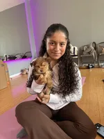 Buddy, a male Yorkshire Terrier for sale in Victorville, CA – 5 of 6