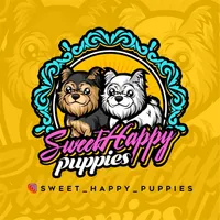 Roger, a male Maltipoo for sale in Victorville, CA – Photo 3 of 6