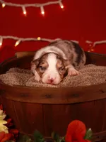 processed/b748c4d4-525f-46d0-a602-2a0cf927cf7f/listing/165c0144-cf3c-4fef-9924-4dc68ccbdf03/43945f95-846e-4d79-8cd6-ddbf267b1e7b