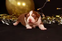 processed/b748c4d4-525f-46d0-a602-2a0cf927cf7f/listing/1fb237dd-c07e-42bc-b6b2-4c5a16d364e1/63959682-a30d-4594-a9bb-4ae48b3579a1