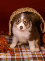 processed/b748c4d4-525f-46d0-a602-2a0cf927cf7f/listing/1fb237dd-c07e-42bc-b6b2-4c5a16d364e1/84f016a5-502e-4b0d-850c-28a2ea9ae2f4