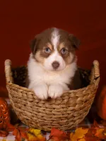 processed/b748c4d4-525f-46d0-a602-2a0cf927cf7f/listing/1fb237dd-c07e-42bc-b6b2-4c5a16d364e1/f7777aa5-f135-4463-8223-d17019e292b1