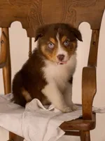 processed/b748c4d4-525f-46d0-a602-2a0cf927cf7f/listing/5115d023-28e5-41ee-b7ae-3857b3a06a46/3461f35d-ea8e-4bc7-a3f7-7b85a6529a8e