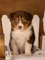 processed/b748c4d4-525f-46d0-a602-2a0cf927cf7f/listing/5115d023-28e5-41ee-b7ae-3857b3a06a46/82e47313-186a-4e91-a52a-32c520bb1f2d