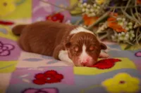 processed/b748c4d4-525f-46d0-a602-2a0cf927cf7f/listing/5115d023-28e5-41ee-b7ae-3857b3a06a46/cee599b2-d2ad-4b7b-8c87-883603f0534b