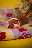 processed/b748c4d4-525f-46d0-a602-2a0cf927cf7f/listing/5115d023-28e5-41ee-b7ae-3857b3a06a46/cf1d7aa6-869d-43e6-aa72-b4cedb94c257