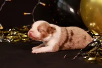 processed/b748c4d4-525f-46d0-a602-2a0cf927cf7f/listing/a726b1e1-21c8-4958-8194-643911bd19df/edbee267-4d2c-4f26-a453-7e263cffa5da