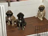 Facility photo