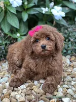 processed/b74cf27e-3fe4-45e5-a8d7-b0d29898cad0/listing/3aa9f043-61a3-4452-b626-c6f0c53f4c78/38e811ff-ff71-4f74-ab7e-211a57bc1d0b