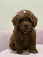 processed/b74cf27e-3fe4-45e5-a8d7-b0d29898cad0/listing/3aa9f043-61a3-4452-b626-c6f0c53f4c78/4b511040-a19d-42c7-a3e5-75585e6685b6