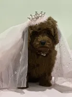 processed/b74cf27e-3fe4-45e5-a8d7-b0d29898cad0/listing/3aa9f043-61a3-4452-b626-c6f0c53f4c78/569a6844-e442-43b7-b1b6-3eec8df68576