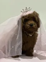 processed/b74cf27e-3fe4-45e5-a8d7-b0d29898cad0/listing/3aa9f043-61a3-4452-b626-c6f0c53f4c78/6d3c351a-1170-4511-b613-c3c75fba8ac0