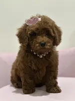 processed/b74cf27e-3fe4-45e5-a8d7-b0d29898cad0/listing/3aa9f043-61a3-4452-b626-c6f0c53f4c78/70f2700a-91a5-4261-a70e-cdb677116aa8