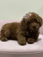 processed/b74cf27e-3fe4-45e5-a8d7-b0d29898cad0/listing/3aa9f043-61a3-4452-b626-c6f0c53f4c78/8b477319-2ce3-48ba-ad02-e73483ace2b5