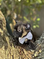 processed/b74cf27e-3fe4-45e5-a8d7-b0d29898cad0/listing/3b51dc3c-2030-4f33-82f4-0b39dd6179d3/39b62c65-54cd-44e9-87c1-4457119e37cf