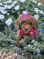 processed/b74cf27e-3fe4-45e5-a8d7-b0d29898cad0/listing/5f498c5d-2e7c-44e8-bb70-ed654f6b6eb5/8059c8e7-86ca-45bc-b73a-acf3359eb7d0