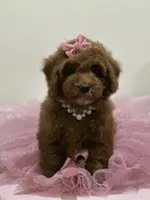 processed/b74cf27e-3fe4-45e5-a8d7-b0d29898cad0/listing/5f498c5d-2e7c-44e8-bb70-ed654f6b6eb5/8eb9c4c0-2818-41c5-83f5-4b9d0bd62cb2