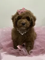 processed/b74cf27e-3fe4-45e5-a8d7-b0d29898cad0/listing/5f498c5d-2e7c-44e8-bb70-ed654f6b6eb5/a69dcc5a-3c78-4ebe-bae6-9ca62ae4ce78