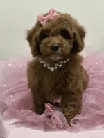 processed/b74cf27e-3fe4-45e5-a8d7-b0d29898cad0/listing/5f498c5d-2e7c-44e8-bb70-ed654f6b6eb5/df24d5d3-5e58-49b8-80dd-aced31dcd12b