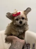 processed/b74cf27e-3fe4-45e5-a8d7-b0d29898cad0/listing/b4a9fa24-4a56-48ed-ab09-8f67370f3f9e/2970ee8c-8d13-4eca-8ed4-9ab2ff8f991f