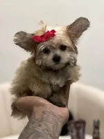 processed/b74cf27e-3fe4-45e5-a8d7-b0d29898cad0/listing/b4a9fa24-4a56-48ed-ab09-8f67370f3f9e/8f9f8855-b26d-45c8-9f23-6d2d9456fa11