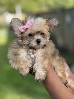 processed/b74cf27e-3fe4-45e5-a8d7-b0d29898cad0/listing/b4a9fa24-4a56-48ed-ab09-8f67370f3f9e/9946ea16-1d20-441c-be01-dd93c7dddf00