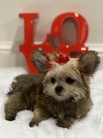 processed/b74cf27e-3fe4-45e5-a8d7-b0d29898cad0/listing/b4a9fa24-4a56-48ed-ab09-8f67370f3f9e/ef7fc5bd-e03e-437c-9447-42cd04f7e193