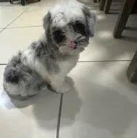 processed/b74cf27e-3fe4-45e5-a8d7-b0d29898cad0/listing/eb34793e-be81-4c30-aa32-0af7cdc9d7c5/5b334aa0-9d95-4c3a-8373-54bddcd7ae89