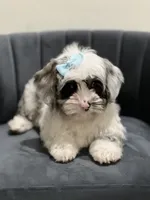 processed/b74cf27e-3fe4-45e5-a8d7-b0d29898cad0/listing/eb34793e-be81-4c30-aa32-0af7cdc9d7c5/6955bdb8-e7c7-4ec8-8677-f48f52257ab5