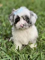 processed/b74cf27e-3fe4-45e5-a8d7-b0d29898cad0/listing/eb34793e-be81-4c30-aa32-0af7cdc9d7c5/fd0f5cc8-d819-45a0-a4d2-1cbe7f247fcd