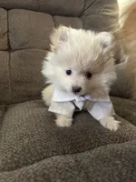 processed/b74dd9f7-700e-40fa-9df0-ea76d53bf5c9/listing/2e3af69d-75fb-4e20-a13c-7ebe3df44f31/41755f41-0f54-497b-b564-36e9da2c986f