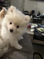 processed/b74dd9f7-700e-40fa-9df0-ea76d53bf5c9/listing/2e3af69d-75fb-4e20-a13c-7ebe3df44f31/f5e8cc5b-9a5f-4071-a110-b6944d2715cb