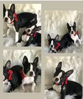 processed/b75fac7e-06bd-4232-9d7a-81db01ad3086/facility/3fd95020-5b20-4516-8836-3033df031815