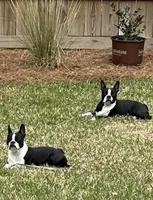 processed/b75fac7e-06bd-4232-9d7a-81db01ad3086/facility/52fe7360-eae1-452a-a92f-6effcb421ceb