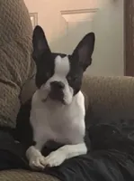 processed/b75fac7e-06bd-4232-9d7a-81db01ad3086/facility/67c8ea29-d8eb-495a-8317-83f4b7d7530d