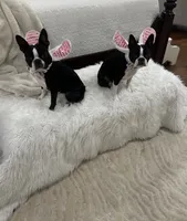 processed/b75fac7e-06bd-4232-9d7a-81db01ad3086/facility/704a5df0-0653-4434-bcd9-722377b887bc