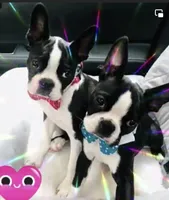 processed/b75fac7e-06bd-4232-9d7a-81db01ad3086/facility/78c2c552-faec-450b-965a-d1b5df794a4a