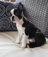 processed/b75fac7e-06bd-4232-9d7a-81db01ad3086/facility/79d43113-2015-46e4-8cf1-2adef69d3337