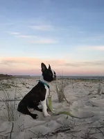 processed/b75fac7e-06bd-4232-9d7a-81db01ad3086/facility/c44e81fd-191a-497d-a373-f2ed75e491da