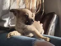 processed/b760aa13-ffd9-432c-b946-50fa06331082/listing/971994a3-d4e3-4ddd-818b-491b8bd5e935/05fa9553-aa18-4853-87d5-1ae950406a17