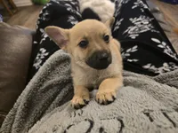 processed/b760aa13-ffd9-432c-b946-50fa06331082/listing/971994a3-d4e3-4ddd-818b-491b8bd5e935/777f3683-50a1-4090-9ab1-ab9c80c3f5f2