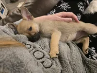 processed/b760aa13-ffd9-432c-b946-50fa06331082/listing/971994a3-d4e3-4ddd-818b-491b8bd5e935/8d17cfa8-20ce-478f-9606-a4ce0076d53d