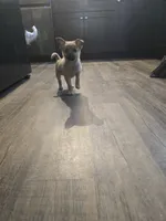 processed/b760aa13-ffd9-432c-b946-50fa06331082/listing/971994a3-d4e3-4ddd-818b-491b8bd5e935/bd8f5531-9775-4794-ba74-27f91d98251d