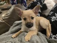 processed/b760aa13-ffd9-432c-b946-50fa06331082/listing/971994a3-d4e3-4ddd-818b-491b8bd5e935/dfa126b4-f4ae-4672-97e1-df3f51954582