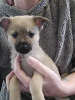 processed/b760aa13-ffd9-432c-b946-50fa06331082/listing/ebc9768e-5684-4013-8aab-c235a32916c9/1160cd8e-fe4a-4848-a776-97d77ff34938