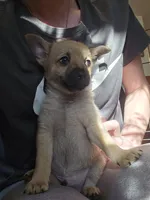 processed/b760aa13-ffd9-432c-b946-50fa06331082/listing/ebc9768e-5684-4013-8aab-c235a32916c9/909d46ef-1dda-48a8-af81-0aa11cf9b999