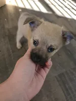 processed/b760aa13-ffd9-432c-b946-50fa06331082/listing/ebc9768e-5684-4013-8aab-c235a32916c9/cf3b4d27-2b64-4855-b1cb-745343e33976