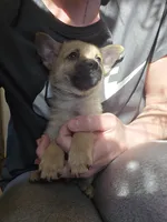 processed/b760aa13-ffd9-432c-b946-50fa06331082/listing/ebc9768e-5684-4013-8aab-c235a32916c9/dc3dad17-d12d-4ca7-be87-10ea80e3a362